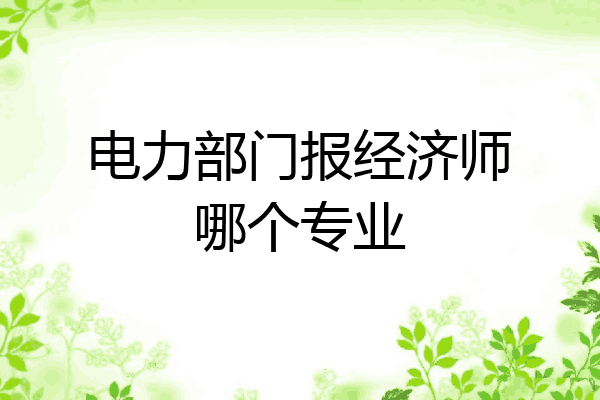 电力部门报经济师哪个专业