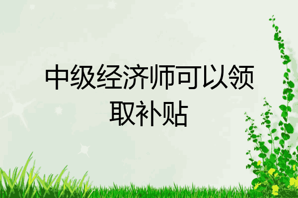 中级经济师可以领取补贴