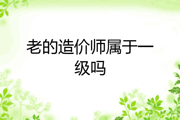 老的造价师属于一级吗