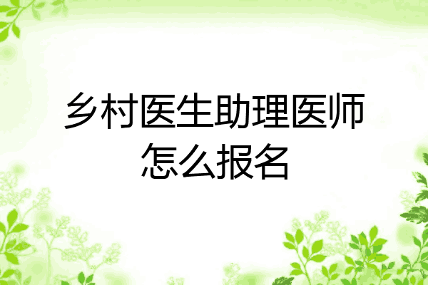 乡村医生助理医师怎么报名