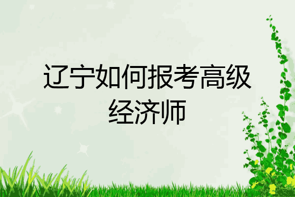 辽宁如何报考高级经济师