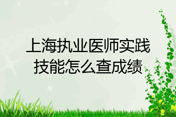 上海执业医师实践技能怎么查成绩
