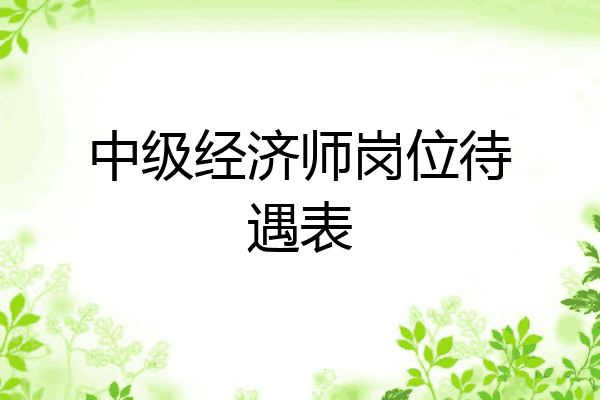 中级经济师岗位待遇表
