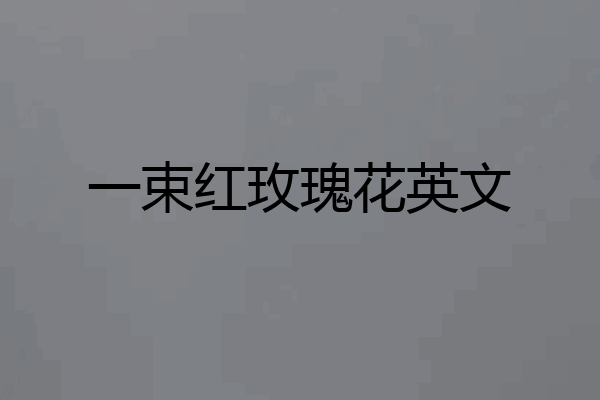 一束红玫瑰花英文