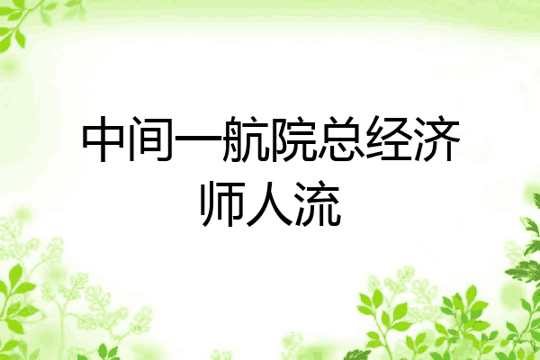 中间一航院总经济师人流