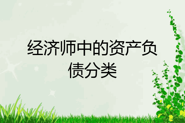 经济师中的资产负债分类