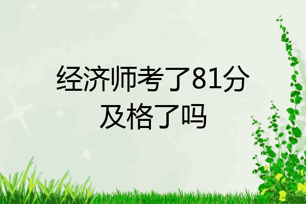 经济师考了81分及格了吗