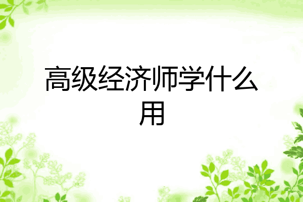 高级经济师学什么用