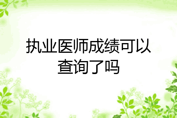 执业医师成绩可以查询了吗