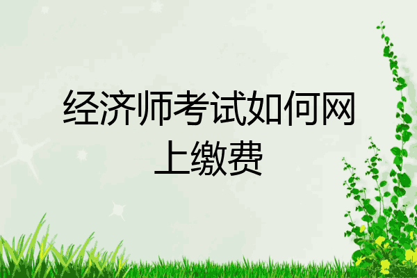 经济师考试如何网上缴费
