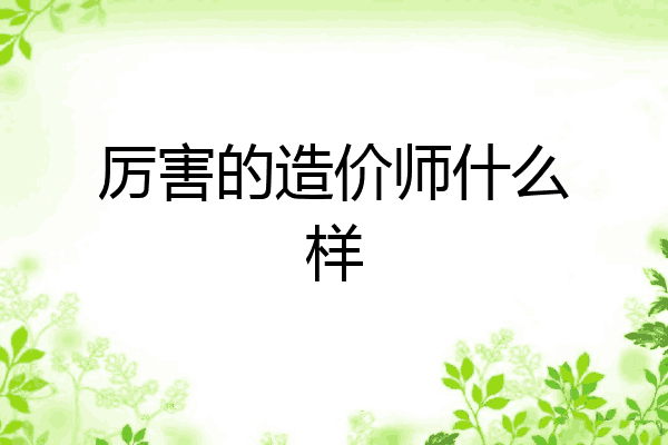 厉害的造价师什么样