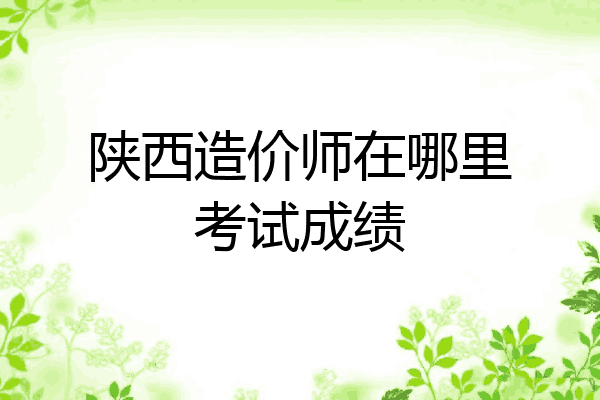陕西造价师在哪里考试成绩