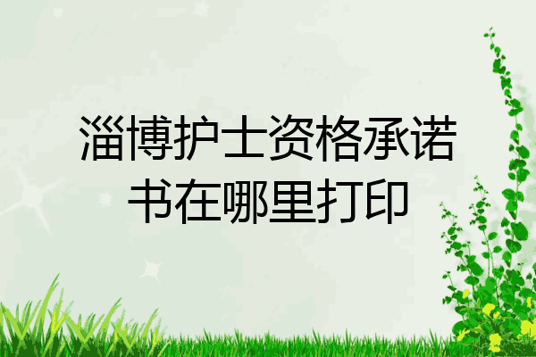淄博护士资格承诺书在哪里打印