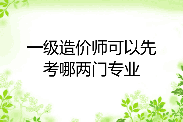 一级造价师可以先考哪两门专业