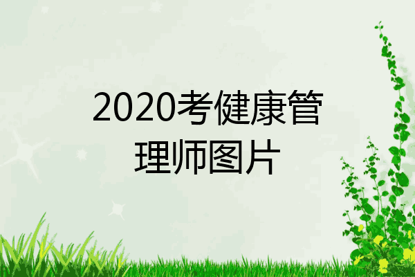2020考健康管理师图片