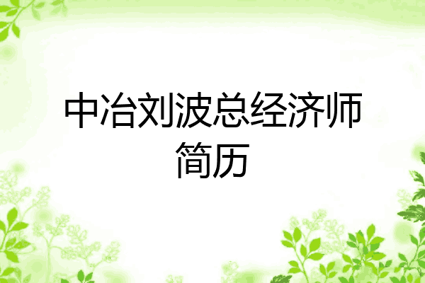 中冶刘波总经济师简历