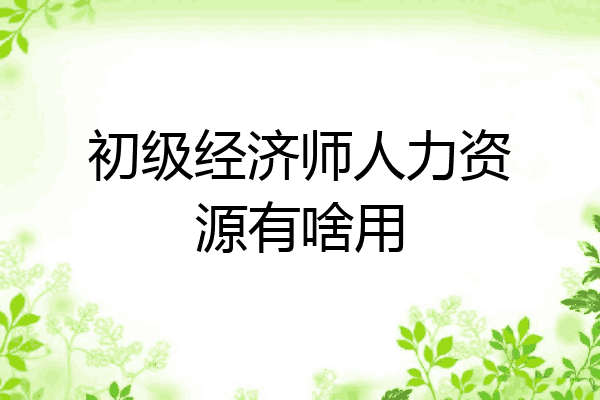 初级经济师人力资源有啥用
