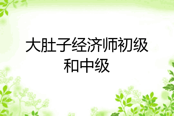 大肚子经济师初级和中级