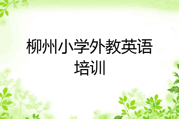 柳州小学外教英语培训