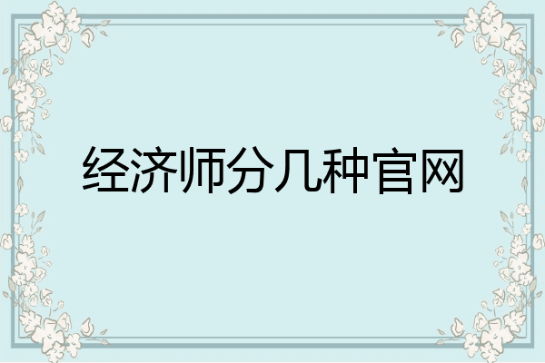经济师分几种官网
