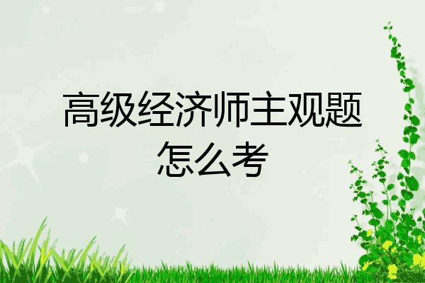 高级经济师主观题怎么考
