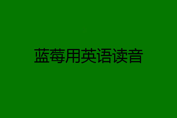 蓝莓用英语读音