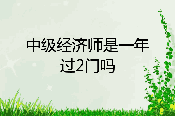 中级经济师是一年过2门吗