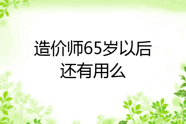 造价师65岁以后还有用么
