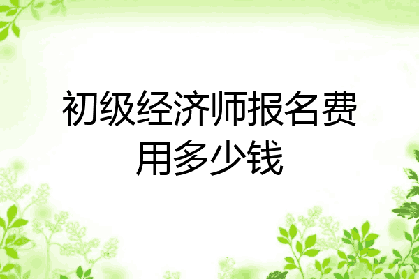 初级经济师报名费用多少钱