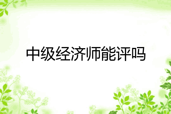 中级经济师能评吗