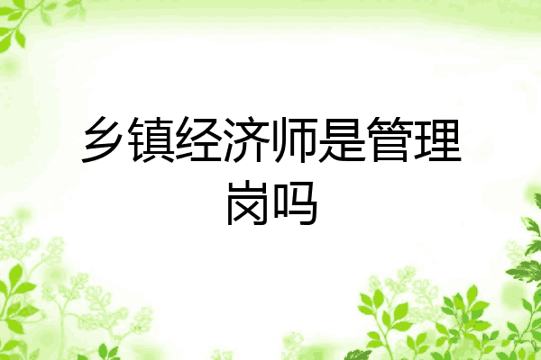乡镇经济师是管理岗吗
