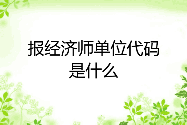 报经济师单位代码是什么
