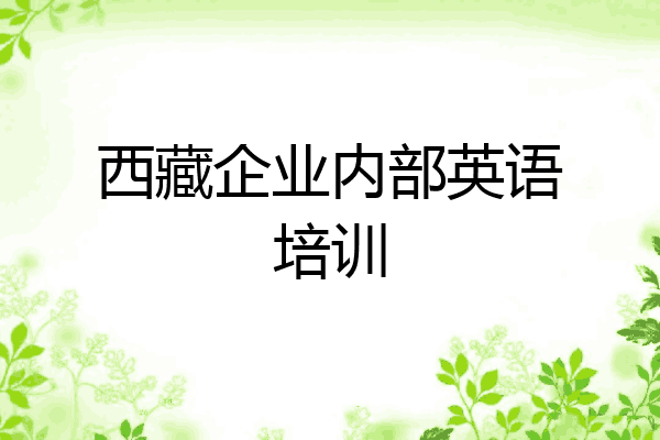 西藏企业内部英语培训