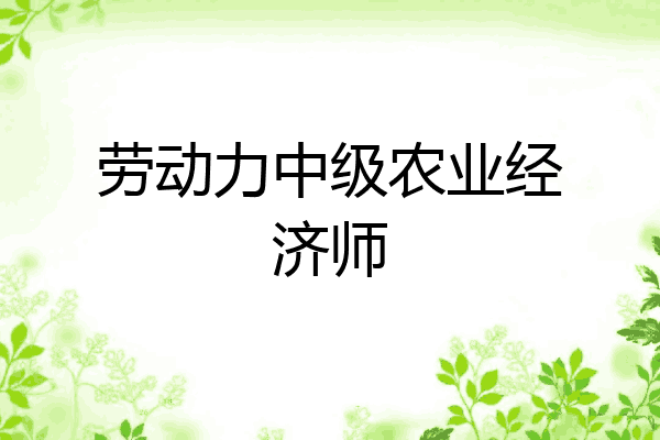 劳动力中级农业经济师