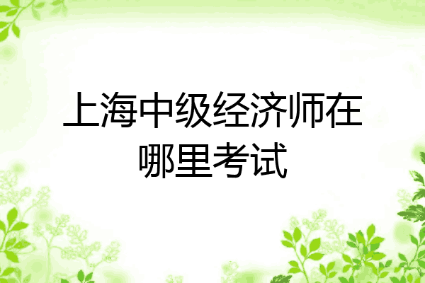 上海中级经济师在哪里考试