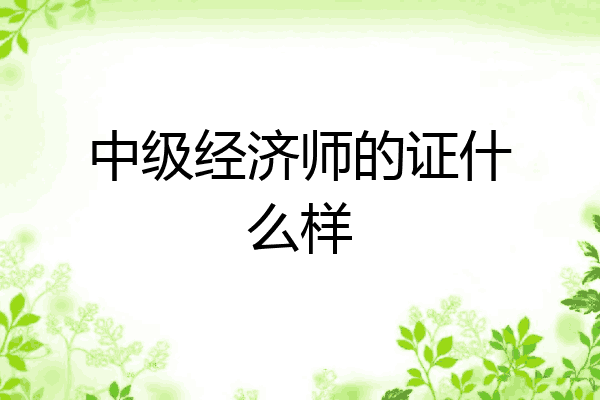 中级经济师的证什么样