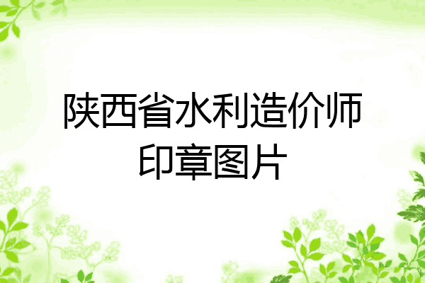 陕西省水利造价师印章图片