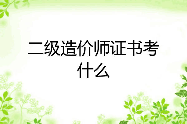 二级造价师证书考什么