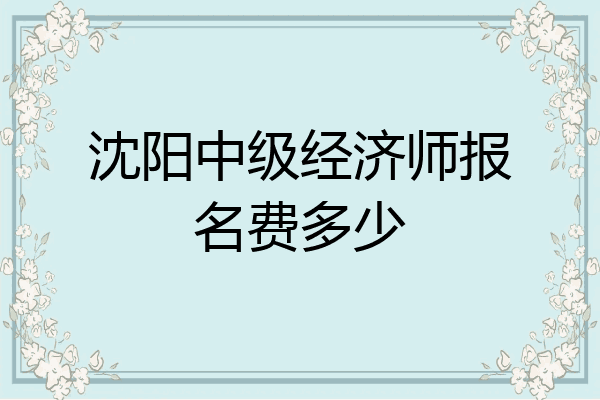 沈阳中级经济师报名费多少