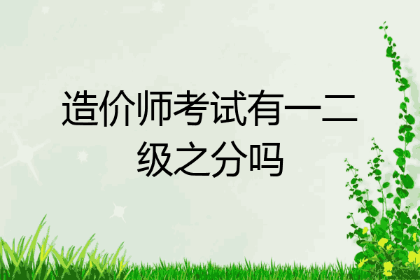 造价师考试有一二级之分吗