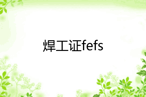 焊工证fefs