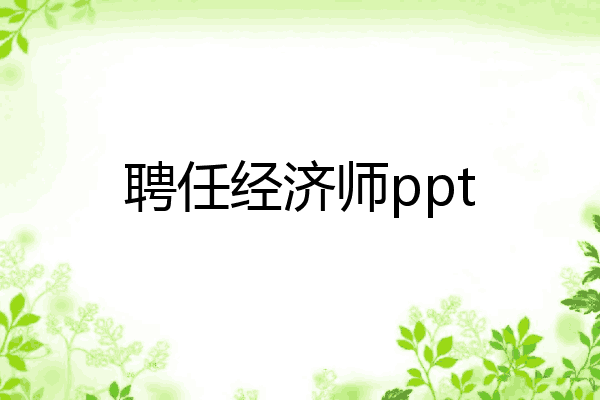 聘任经济师ppt
