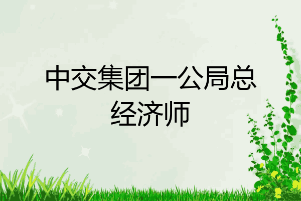 中交集团一公局总经济师