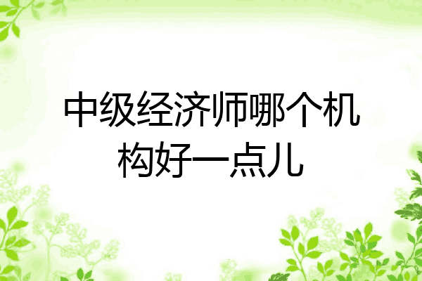 中级经济师哪个机构好一点儿