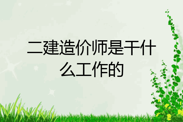 二建造价师是干什么工作的