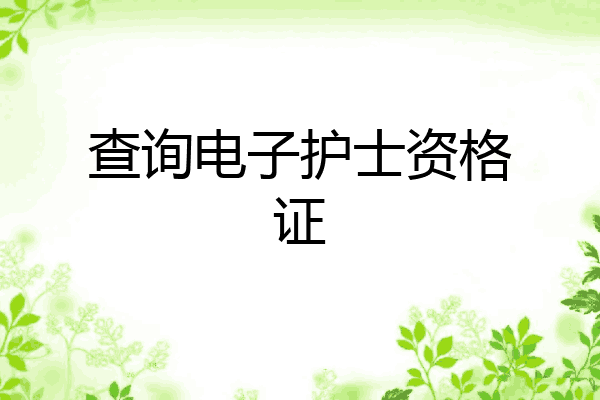 查询电子护士资格证