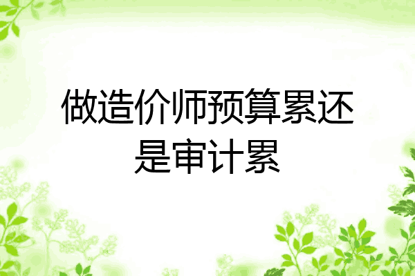 做造价师预算累还是审计累
