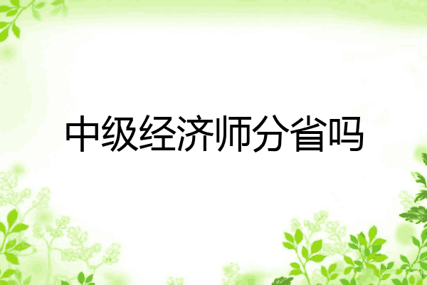 中级经济师分省吗