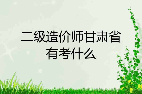 二级造价师甘肃省有考什么