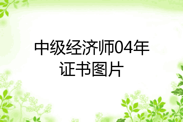 中级经济师04年证书图片